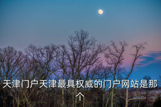 天津門戶天津最具權(quán)威的門戶網(wǎng)站是那個
