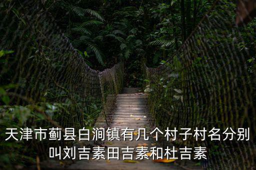 天津市薊縣白澗鎮(zhèn)有幾個(gè)村子村名分別叫劉吉素田吉素和杜吉素