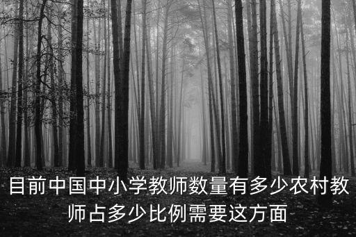 全國教師人數，目前中國中小學教師數量有多少農村教師占多少比例需要這方面
