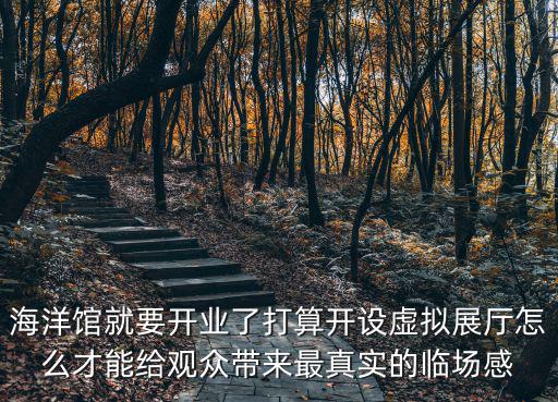 數字海洋館，地球上有多少個海洋數字