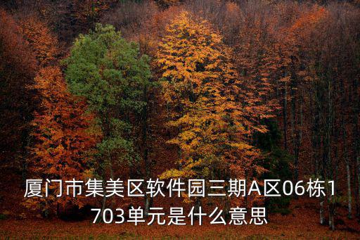 廈門市集美區(qū)軟件園三期A區(qū)06棟1703單元是什么意思