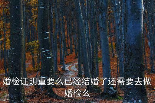 婚檢證明，領結婚證需要婚檢證明嗎