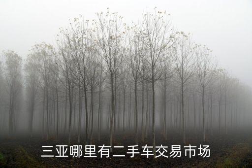 三亞哪里有二手車交易市場