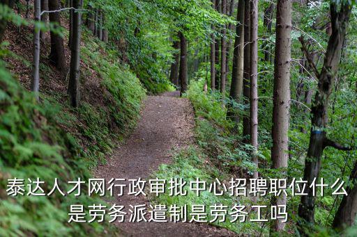 泰達人才網行政審批中心招聘職位什么是勞務派遣制是勞務工嗎