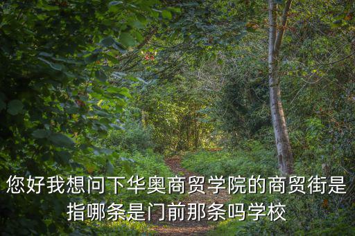 您好我想問下華奧商貿學院的商貿街是指哪條是門前那條嗎學校