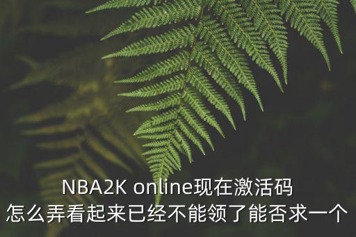 NBA2K online現在激活碼怎么弄看起來已經不能領了能否求一個