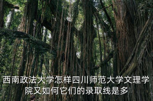 西南政法大學怎樣四川師范大學文理學院又如何它們的錄取線是多