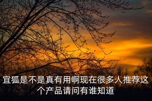 宜狐是不是真有用啊現(xiàn)在很多人推薦這個產(chǎn)品請問有誰知道