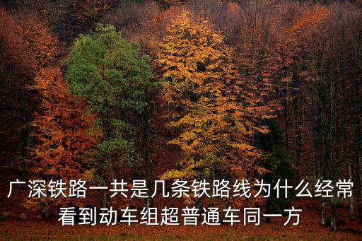 廣深鐵路一共是幾條鐵路線為什么經常看到動車組超普通車同一方