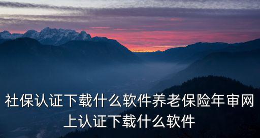 社保認證下載什么軟件養老保險年審網上認證下載什么軟件