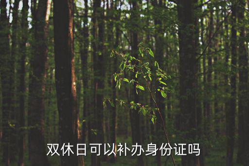 雙休日可以補辦身份證嗎