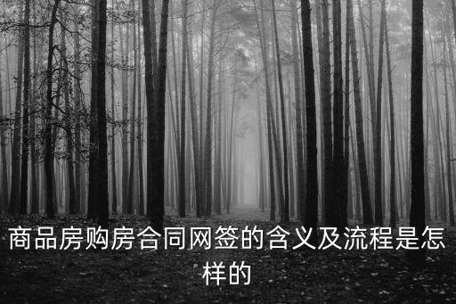 商品房購房合同網簽的含義及流程是怎樣的