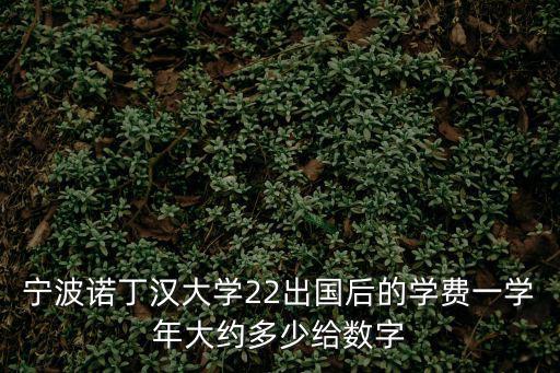 寧波諾丁漢大學22出國后的學費一學年大約多少給數字