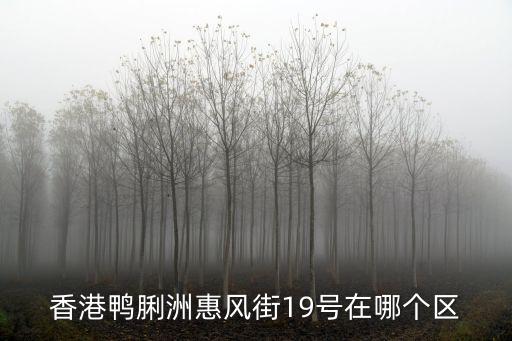 香港鴨脷洲惠風(fēng)街19號在哪個區(qū)