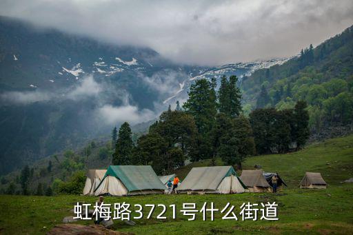 虹梅街道，虹梅路3721號(hào)什么街道