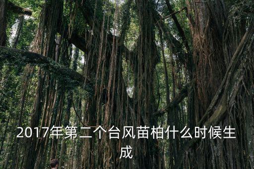 2017年第二個臺風(fēng)苗柏什么時候生成
