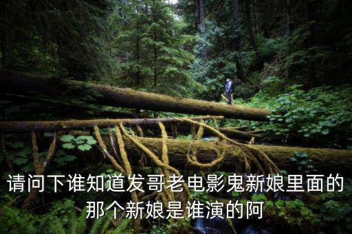 請問下誰知道發(fā)哥老電影鬼新娘里面的那個新娘是誰演的阿