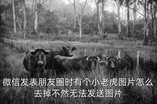 微信發表朋友圈時有個小老虎圖片怎么去掉不然無法發送圖片