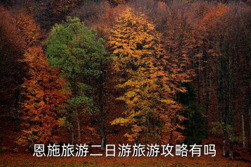 恩施旅游二日游旅游攻略有嗎