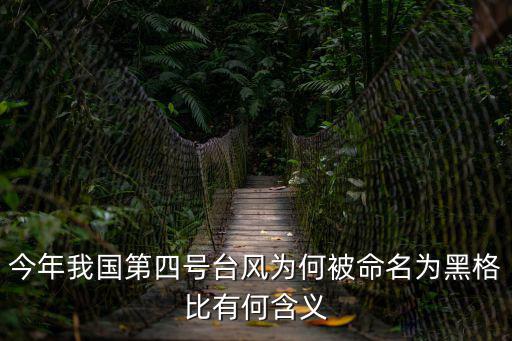 今年我國第四號臺風為何被命名為黑格比有何含義