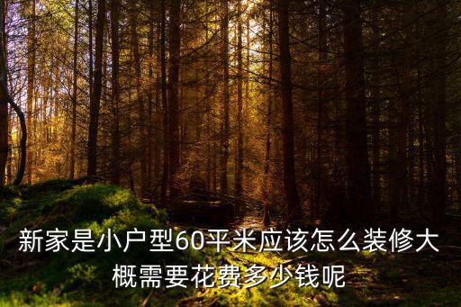 新家是小戶型60平米應該怎么裝修大概需要花費多少錢呢