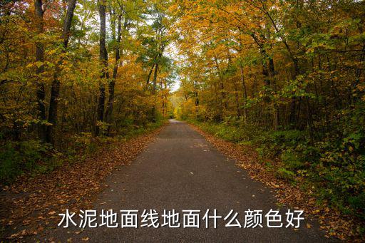 水泥地面線地面什么顏色好