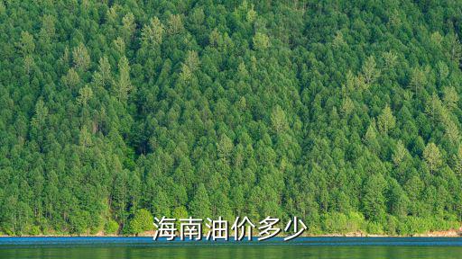 海南最新油價，請問海南省93號汽油定多少錢一升