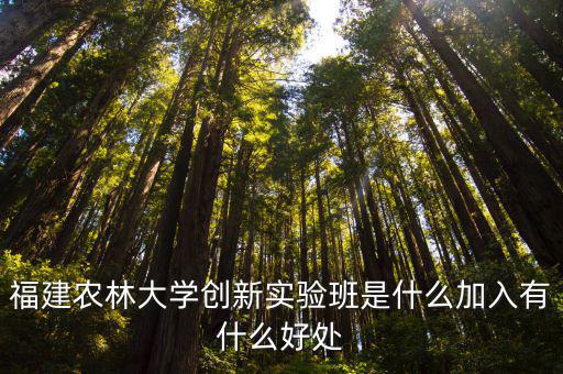 福建農林大學創新實驗班是什么加入有什么好處