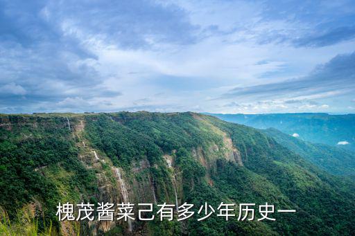槐茂醬菜己有多少年歷史一
