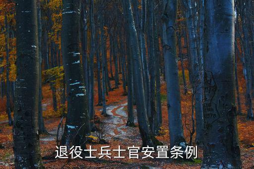 退役士兵安置條例，退役士兵士官安置條例