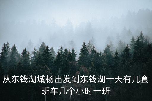 從東錢湖城楊出發到東錢湖一天有幾套班車幾個小時一班