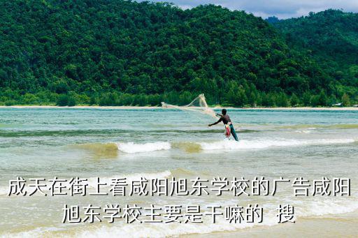 成天在街上看咸陽旭東學校的廣告咸陽旭東學校主要是干嘛的  搜