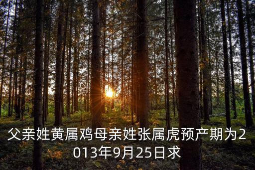 父親姓黃屬雞母親姓張屬虎預產期為2013年9月25日求