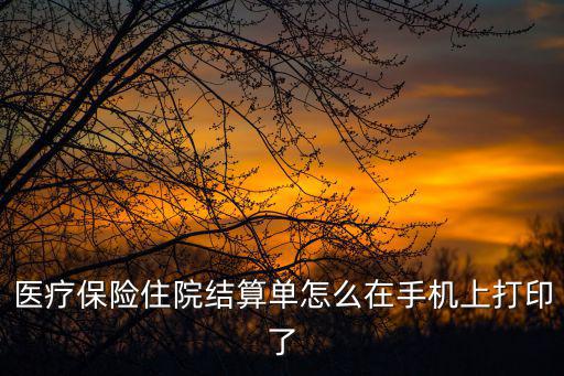 醫療保險住院結算單怎么在手機上打印了
