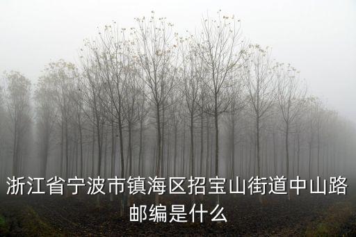招寶山街道，鎮海區人力資源市場怎么走