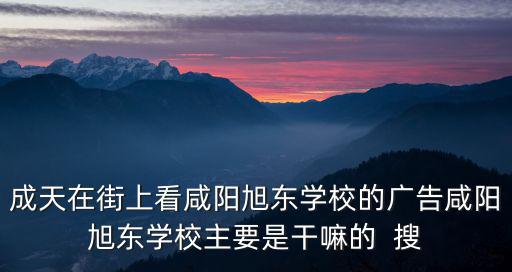 旭東學校，成天在街上看咸陽旭東學校的廣告咸陽旭東學校主要是干嘛的  搜