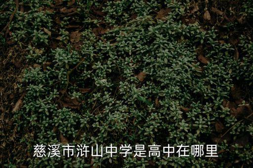 慈溪市滸山中學是高中在哪里