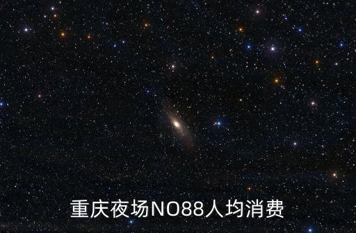 重慶夜場NO88人均消費