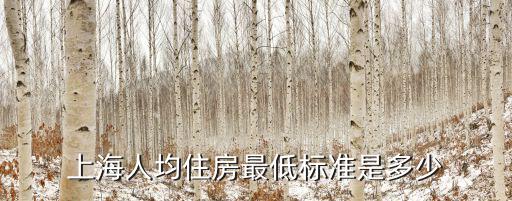 上海人均住房最低標準是多少