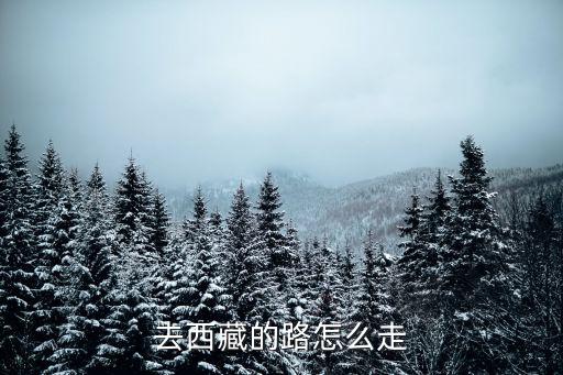 去西藏的路怎么走