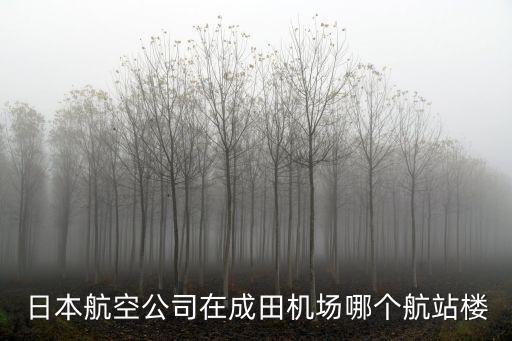 日本航空公司在成田機場哪個航站樓