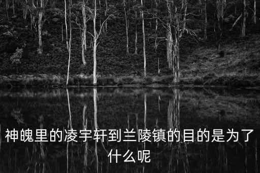 神魄里的凌宇軒到蘭陵鎮(zhèn)的目的是為了什么呢