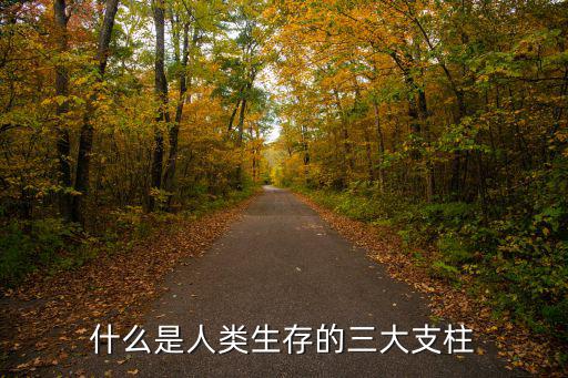 什么是人類生存的三大支柱