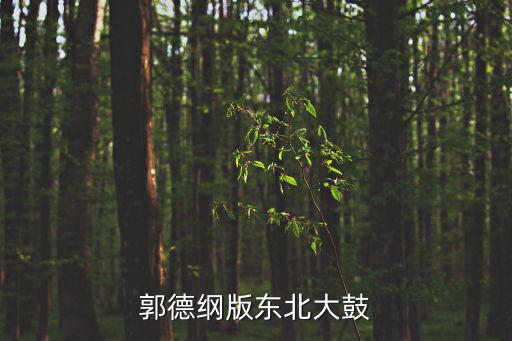 郭德綱版東北大鼓
