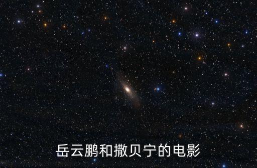 岳云鵬和撒貝寧的電影
