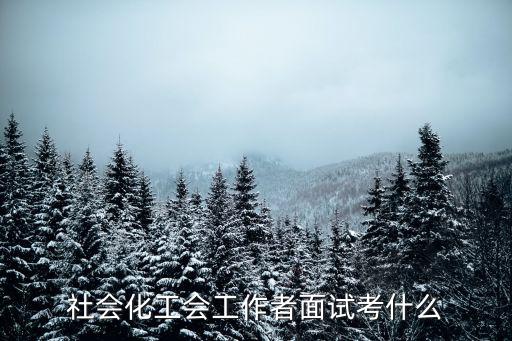 社會化工會工作者，社會化工會工作者考試考什么
