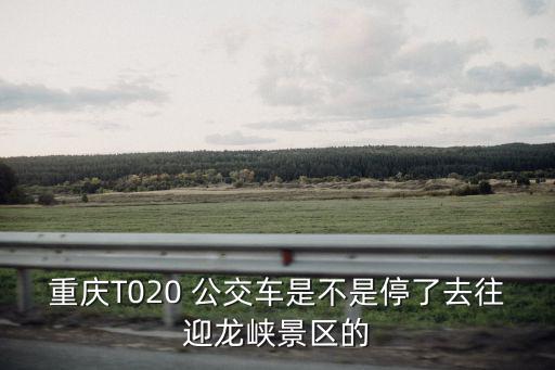 重慶T020 公交車是不是停了去往迎龍峽景區的