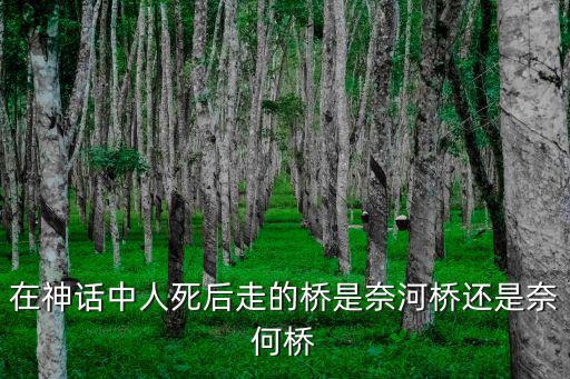 奈河橋，在神話中人死后走的橋是奈河橋還是奈何橋