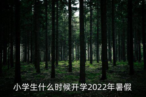 小學(xué)生什么時候開學(xué)2022年暑假