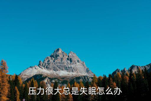 壓力很大總是失眠怎么辦